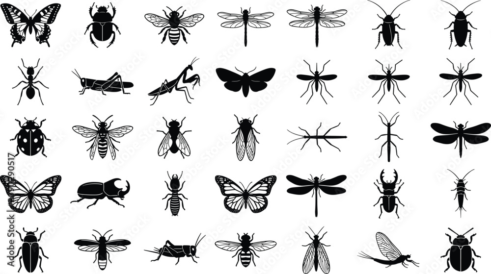 Fototapeta premium Group of insect and bug silhouettes for scientific study and artistic design project illustrations
