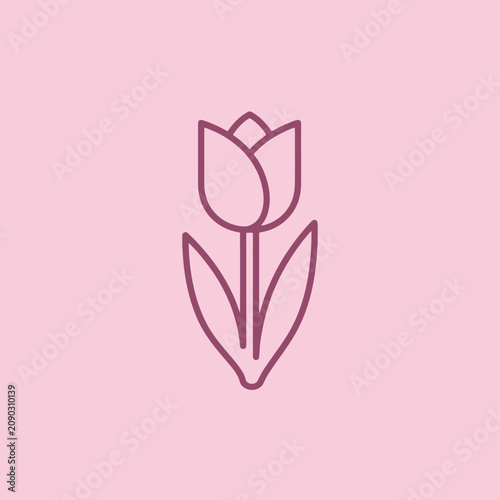Minimalist line art icon of a tulip flower on pink background