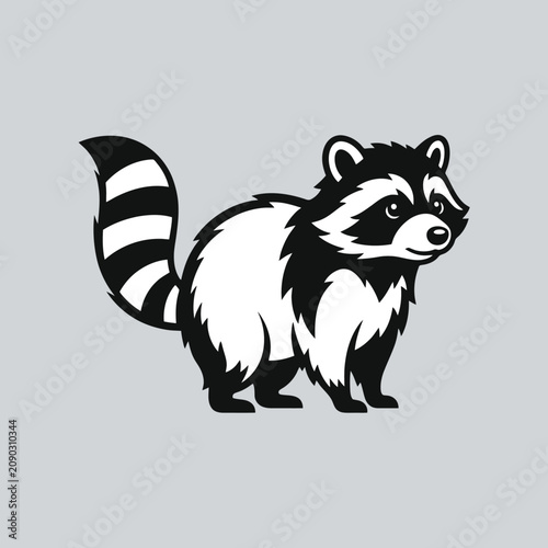 A cute black and white raccoon illustration