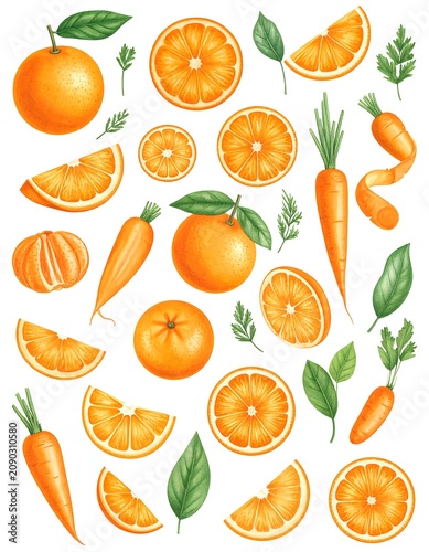 A colorful arrangement of sliced oranges and carrots with green leaves on a white background