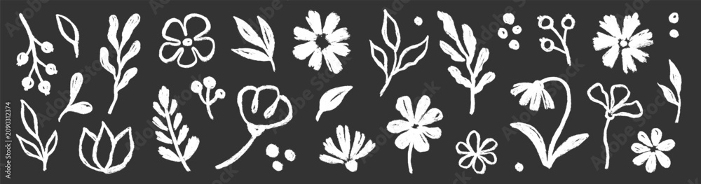 Fototapeta premium Brush flower leaf paint set. Hand drawn brush flower leaf floral stroke sketch plant doodle nature. Chalkboard blackboard botanical daisy poppy leaves herb summer background. Vector illustration