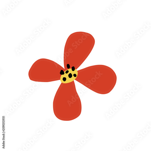 Flowers and plants