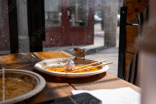 фотографія Bird stealing food at restaurant from a papper plate on a wooden table