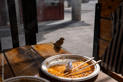 Quadro su tela Bird stealing food at restaurant from a papper plate on a wooden table