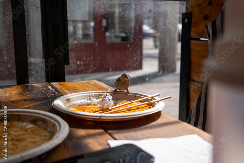 Принти на полотні Bird stealing food at restaurant from a papper plate on a wooden table