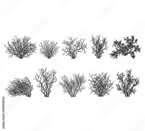 Wild Bush And Shrub Silhouette Set