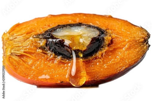 Macro Shot of Raw Palm Oil Fruit Slice with Golden Oil Droplet on White Background, Sustainable Agriculture and Biofuel Industry Website Banner