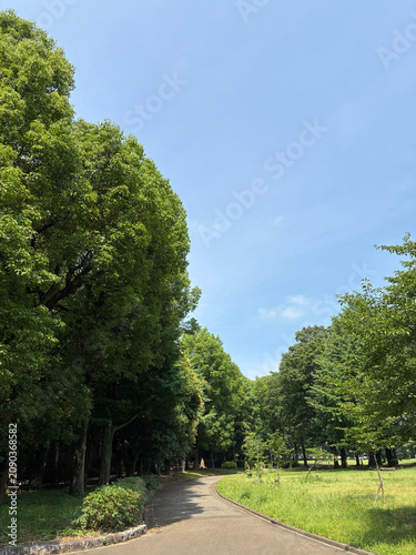 新緑の公園 03