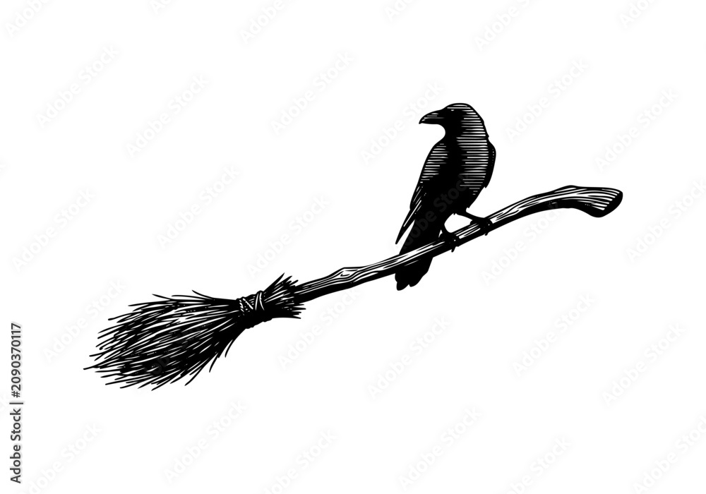 Fototapeta premium Vintage Raven Vector Illustration Hand Drawn Crow Bird Flying Perched Black And White Line Art Sketch For Gothic Halloween And Nature Graphic Design