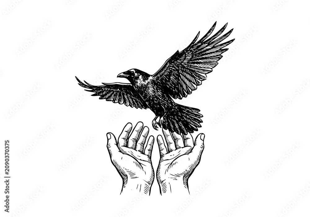 Fototapeta premium Vintage Raven Vector Illustration Hand Drawn Crow Bird Flying Perched Black And White Line Art Sketch For Gothic Halloween And Nature Graphic Design