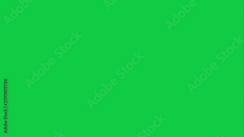 Birthday Celebration Balloon Wish Animation Green Screen VFX Chroma Key