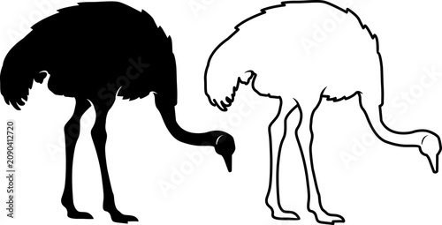 Konstfotografi head down ostrich vector silhouette isolated on white background