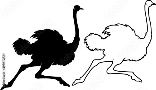 Bild auf Leinwand sprinting ostrich silhouette isolated on white background