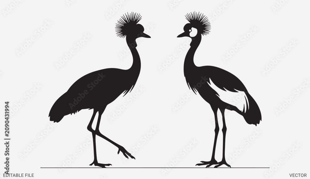 Fototapeta premium Two crowned crane birds standing together elegant wildlife silhouette illustration vector graphic stock asset