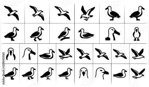 Obraz na płótnie Editable albatross and seagull bird icon set vector bundle with flying seabird s