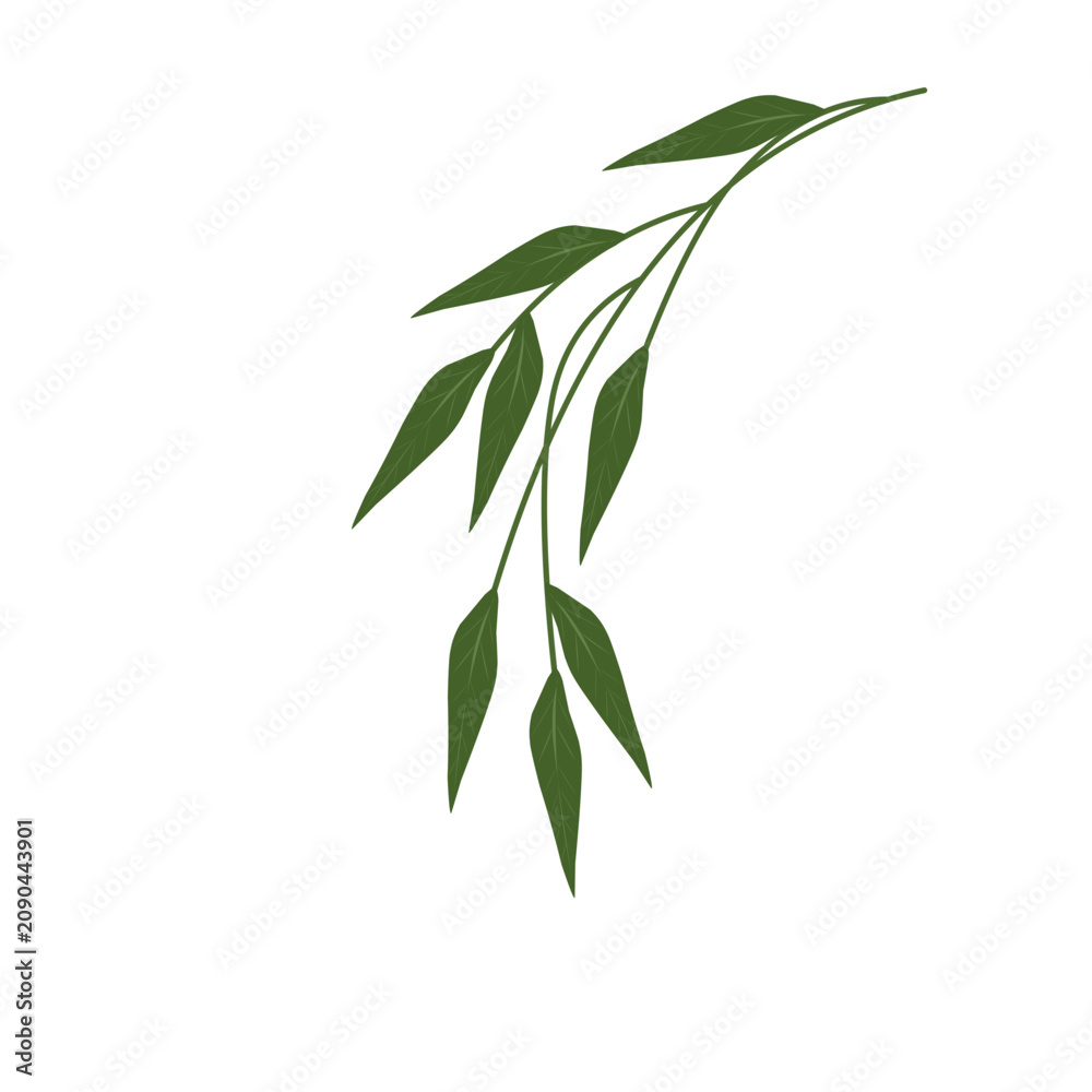 Obraz premium Minimalist leaf vector. Illustration of a branching green leaf. Minimalist green leaf decoration. Branching leaf vector. Simple minimalist leaves
