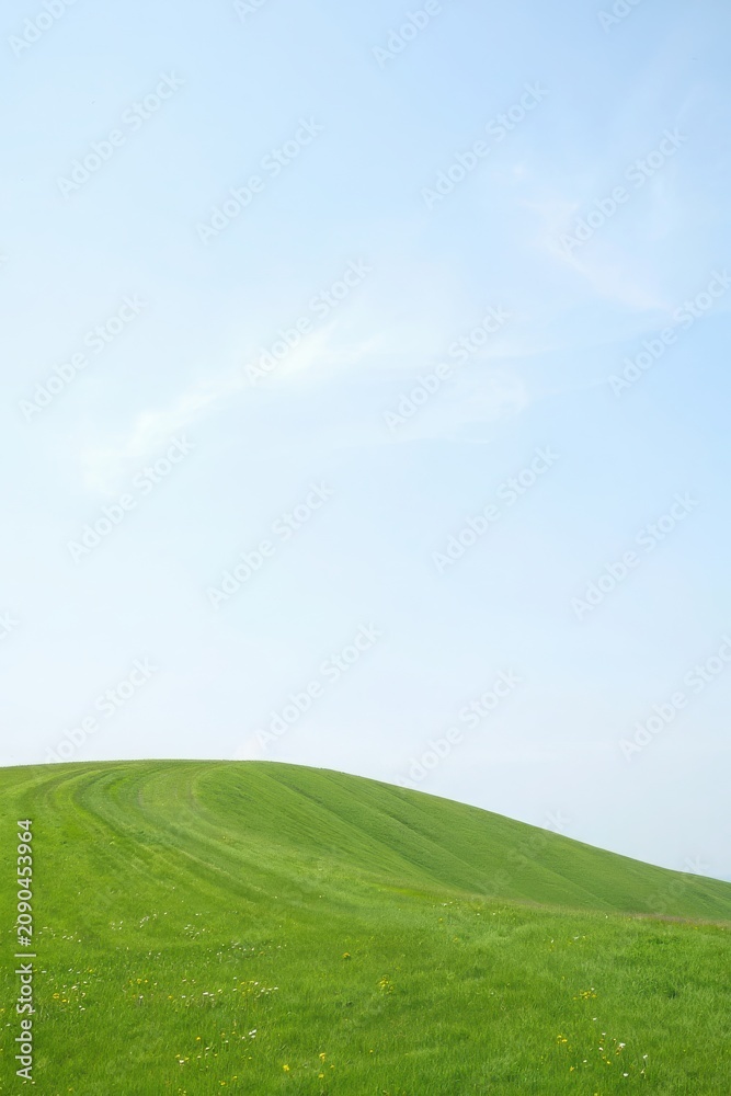 Obraz premium Rolling Green Hillside Under Clear Blue Sky with Soft Clouds