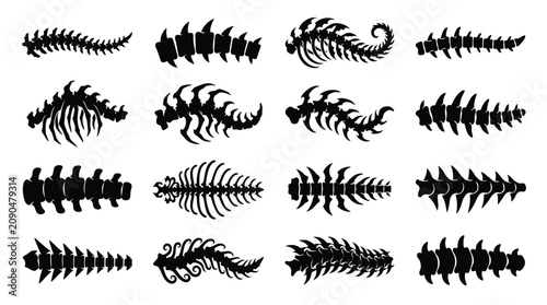 Fotografie Set of silhouettes of animal spines and vertebrae bones vector illustration of s