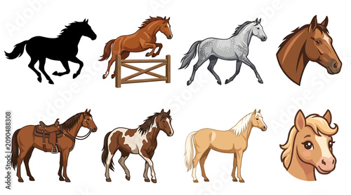 Photography Horses in various breeds and colors.