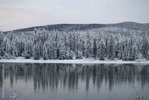 Snow trees across Tanana River in Alaska