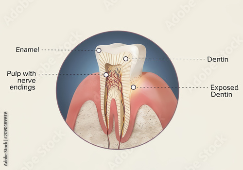 Ultra-realistic 3D dental advertising illustration. A glossy, high-detail cross-section of a human tooth shown in a dramatic clean medical environment.