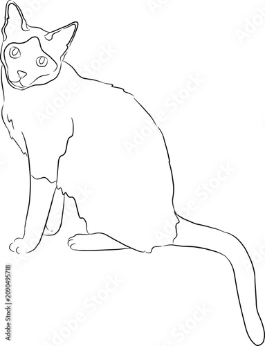 Elegant Sitting Asian Cat Line Art