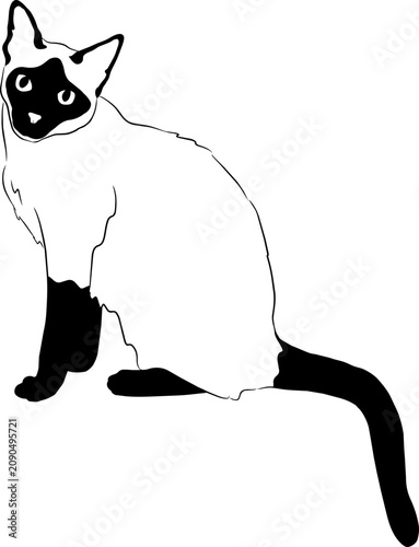 Elegant Siamese Cat Silhouette Illustration