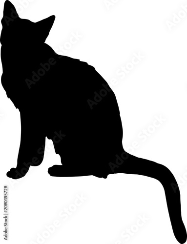 Black Cat Silhouette Sitting Pose