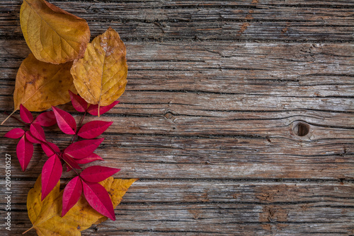Photos Dead leaves on the bench. Fall and autumn on wooden background