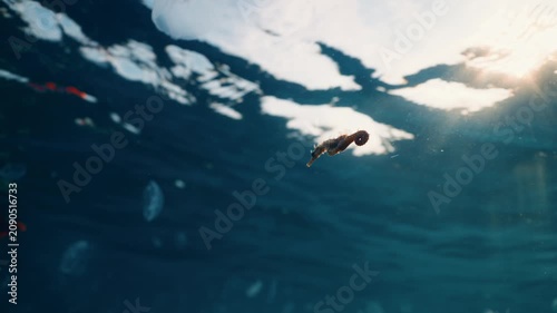 Small seahorse moves through clear underwater scene near glowing surface light, surrounded by deep blue water, soft reflections, blurred background, and delicate bubble shapes in serene marine setting