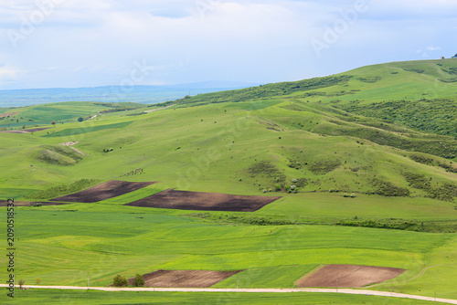 Green, plowed fields among hills covered with grass and shrubs. The Alazani Valley, the Caucasus Range, and a blue sky with clouds in the background. Kakheti, Georgia