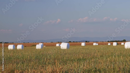 Camera pan shot of wrapped round hay bales in a golden agriculture field with mountains in the background
