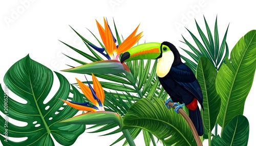 A vibrant tropical illustration showcases a colorful toucan perched amidst lush green foliage and striking orange-blue flowers