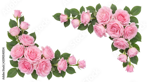 Beautiful pink roses and green leaves floral frame decoration on white background