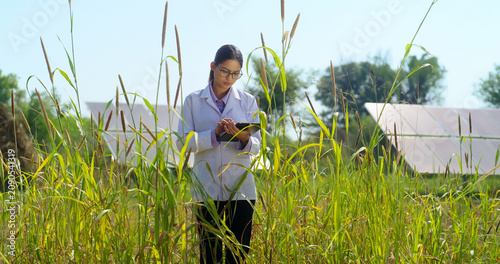 Indian young adult gen z female hold tab look screen visit farm field do work search record data at rural area serious staff girl wear white lab coat use tablet device check plant quality ground place