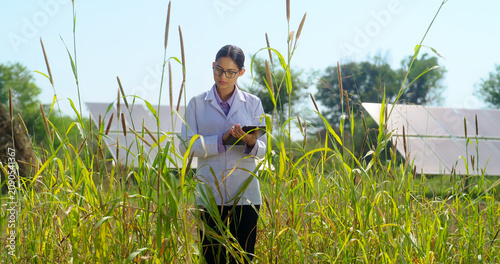 Indian young adult gen z female hold tab look screen visit farm field do work search record data at rural area serious staff girl wear white lab coat use tablet device check plant quality ground place
