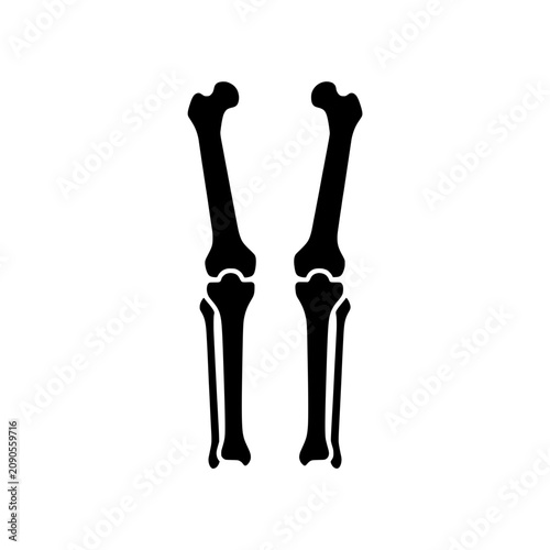 фотографія Human tibia fibula lower leg bones anatomy pair solid vector
