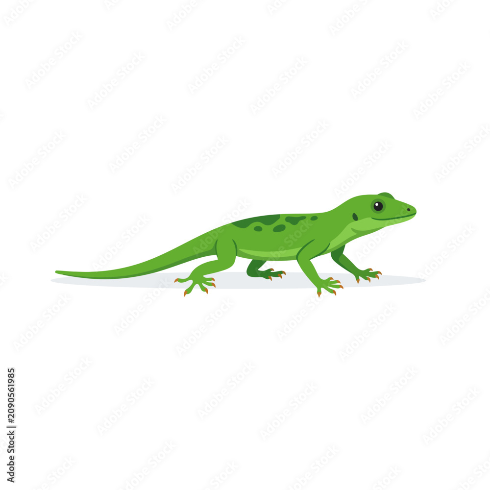 Fototapeta premium A small green lizard crawls slowly across a plain surface