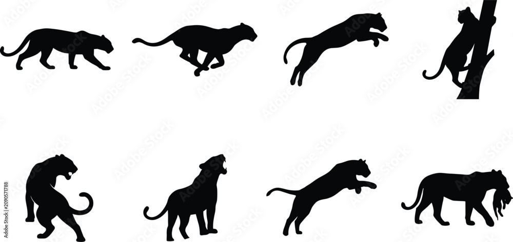 Fototapeta premium Big cat silhouette icon set featuring dynamic predator poses and hunting movements