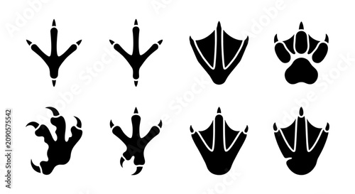 Foto Set of 8 Diverse Animal Footprint Icons, Bird and Paw Prints, Wildlife Tracks Ve