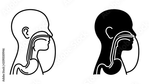 Принти на полотні Anatomy of Human Head and Throat: This graphic illustration displays a simplified sagittal view of the human head, illustrating the pathways of the respiratory and digestive systems