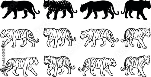 Wall Mural Tiger Silhouette and Line Art Vector Set Featuring Walking Wild Big Cats for Wil