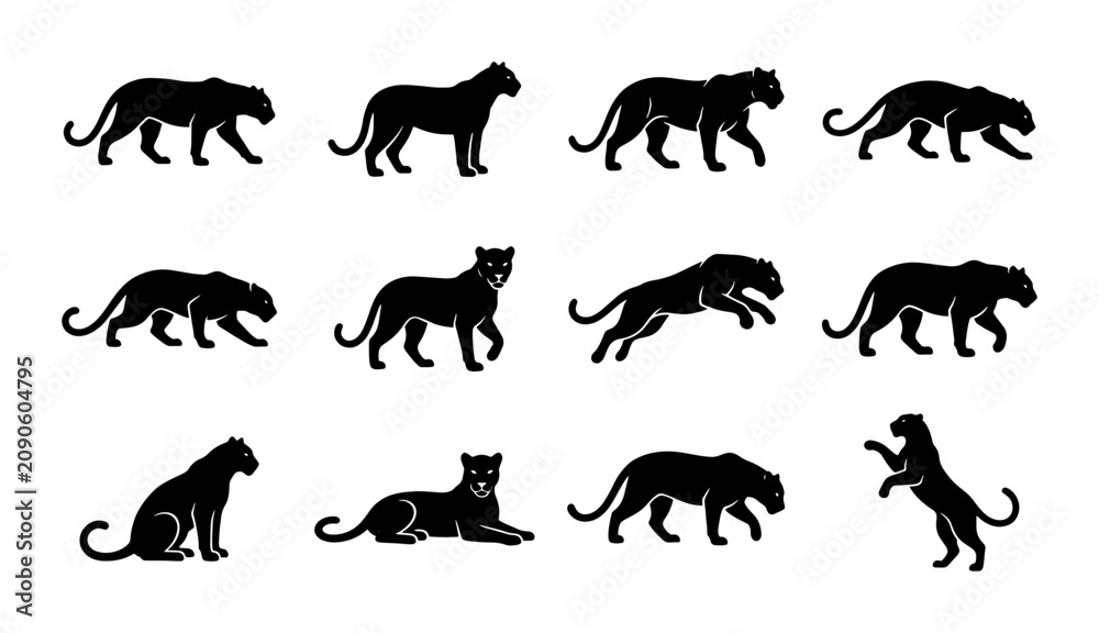 Obraz premium Black Panther Silhouette Set, Wild Cat Poses Vector Collection, Big Cat Animal Icons, Elegant Feline Motion Graphics, Graphic Resource
