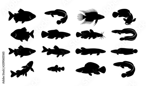 Bilde på lerret Diverse Aquarium Fish Silhouettes, Aquatic Life Vector Collection, Marine Animal