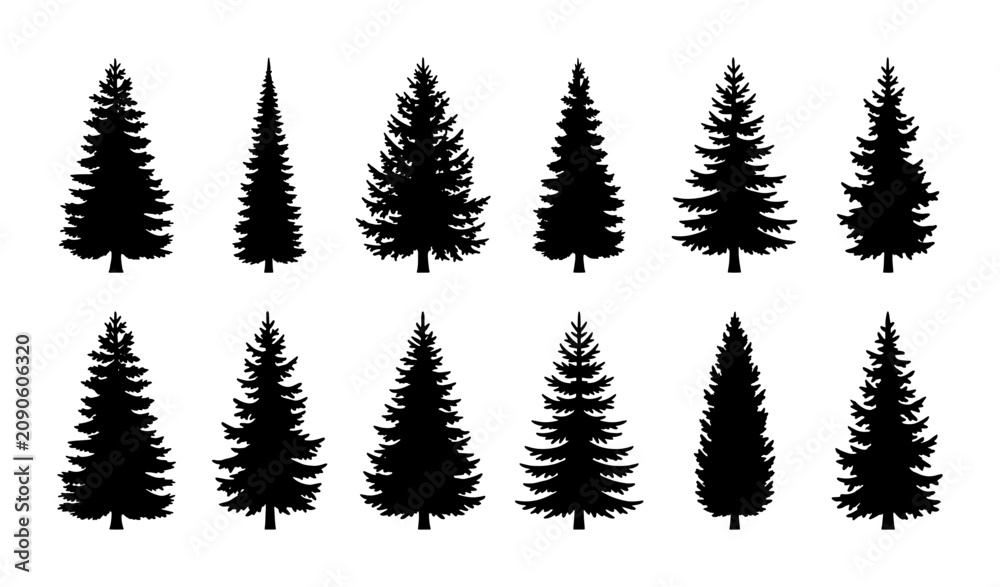 Obraz premium Diverse Pine Tree Silhouettes, Evergreen Conifer Vector Icons Set, Forest Woodland Nature Elements Collection, Black and White Graphic Assets