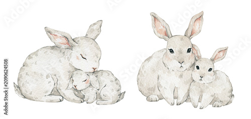 Cute watercolor rabbits. Mother and baby bunny