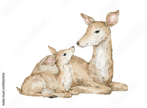 Cute watercolor mother deer and baby deer. Cute hand drawn fawns, forest animals