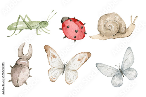 Watercolor cute summer insects, grasshopper, ladybug, snail, beetle, butterfly