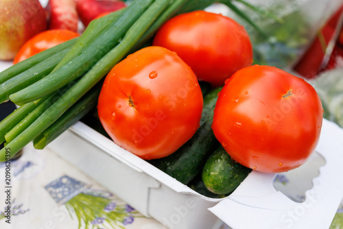 Fresh tomatoes cucumbers and green onions after garden harvest
