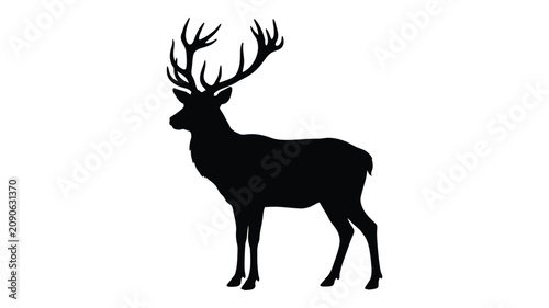 Fotografi Stag with antlers black silhouette against a white background silhouette